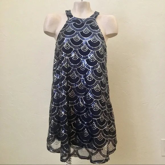 City Triangles Dresses | City Triangles Sequin Dress | Color: Blue/Silver | Size: S | Roxylove96's Closet